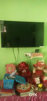 Samsung LED T. V(Android)43 inch
