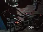 Cycle cycle