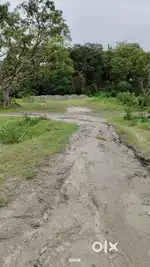1 Bigha land Sale Near Doul Gobinda, North Guwahati, ADG Road