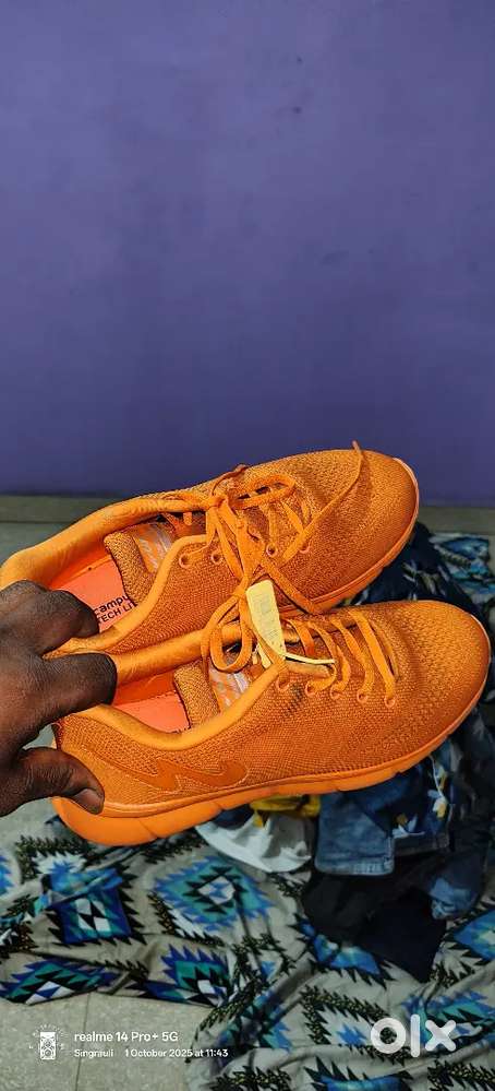 New campus shoes