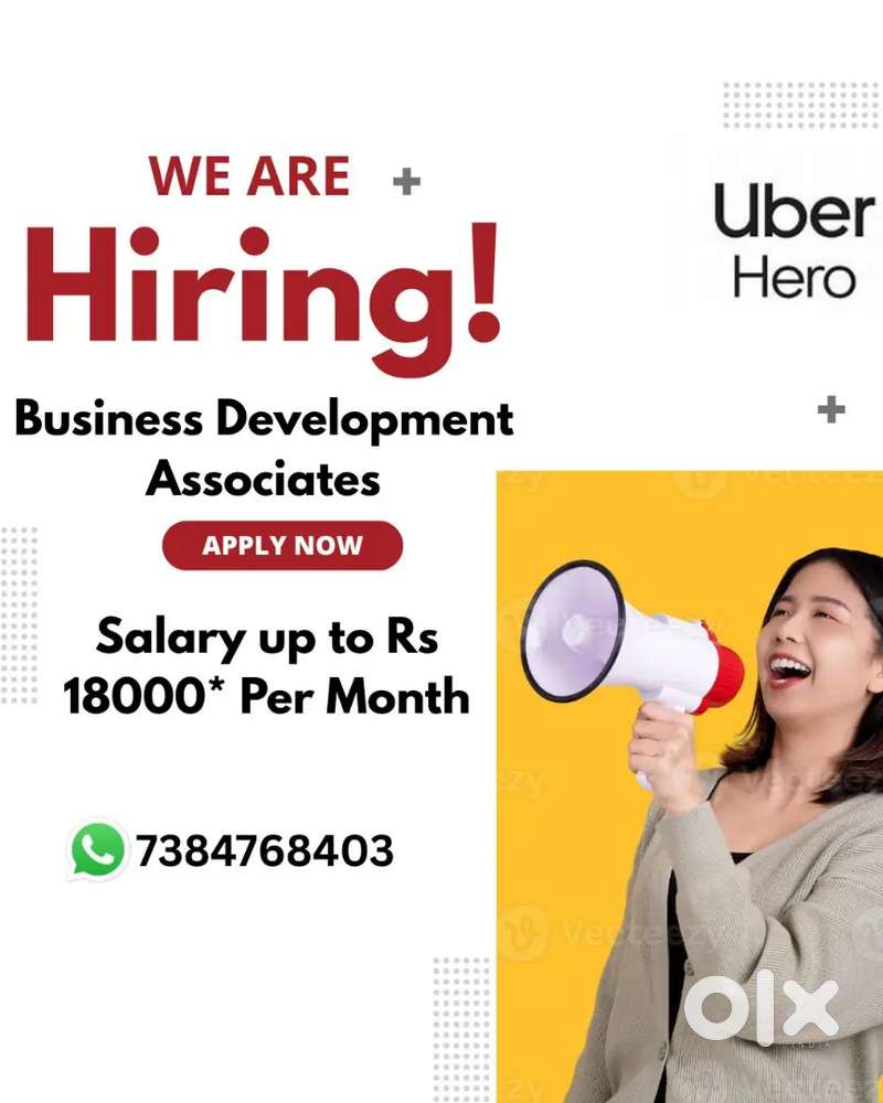 Business Development Associates