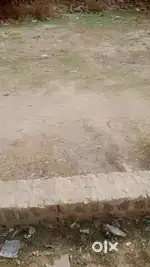 Plot sell for money problem