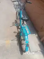 ladybird cycle for sale