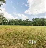 Land for Sale near Hoskote