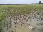 2500 square feet land