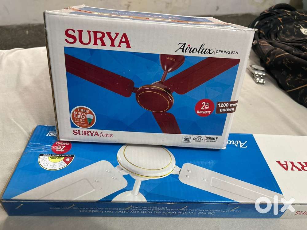 Ceiling Fan Surya