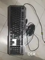 Keyboard not working