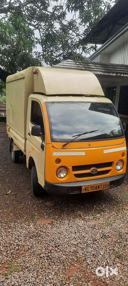 Full body van