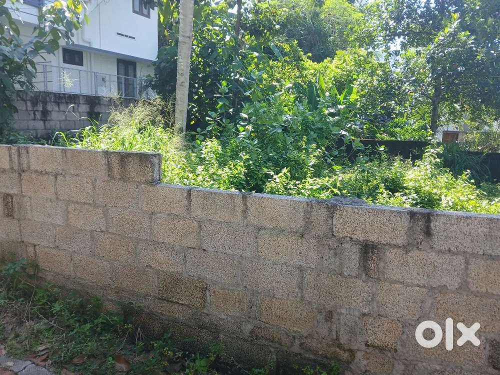 Plot for sale in near chanthavila narrikkal.300 meter from bypass