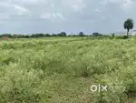 Plot for sale 2500 sqft