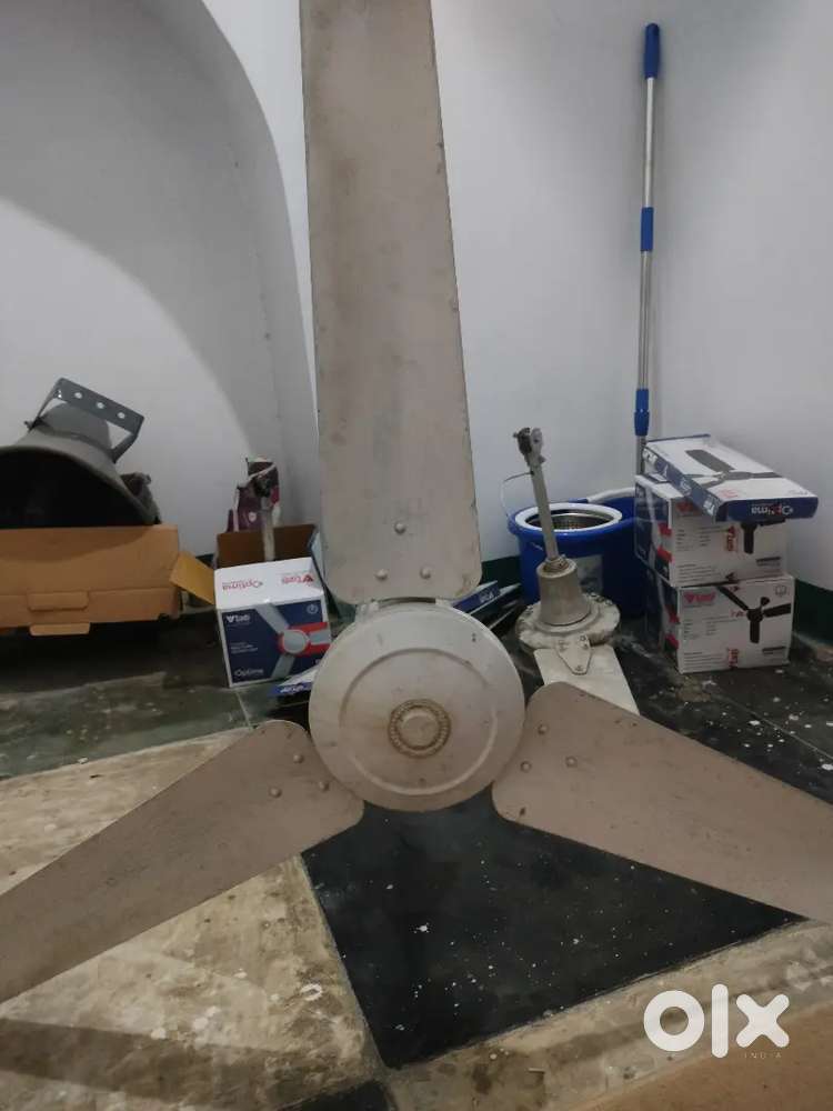 Ceiling Fan