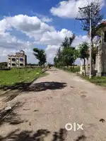 Real estate exicutive