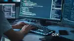 Searching for developer