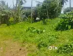 40cent dryland for sale thripunithura near choice paradise
