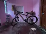 Firefox cycle for sale