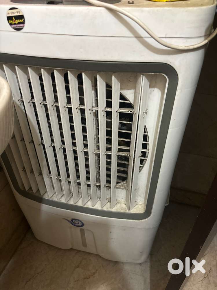Summer Cooler