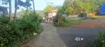 Pathanamthitta adoor enathe 12.5 cent house plot for sail