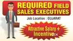 field sales executive