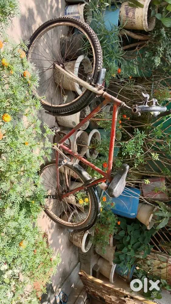 Hero cycle