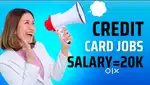 Work from home credit card entry job from laptop or phone