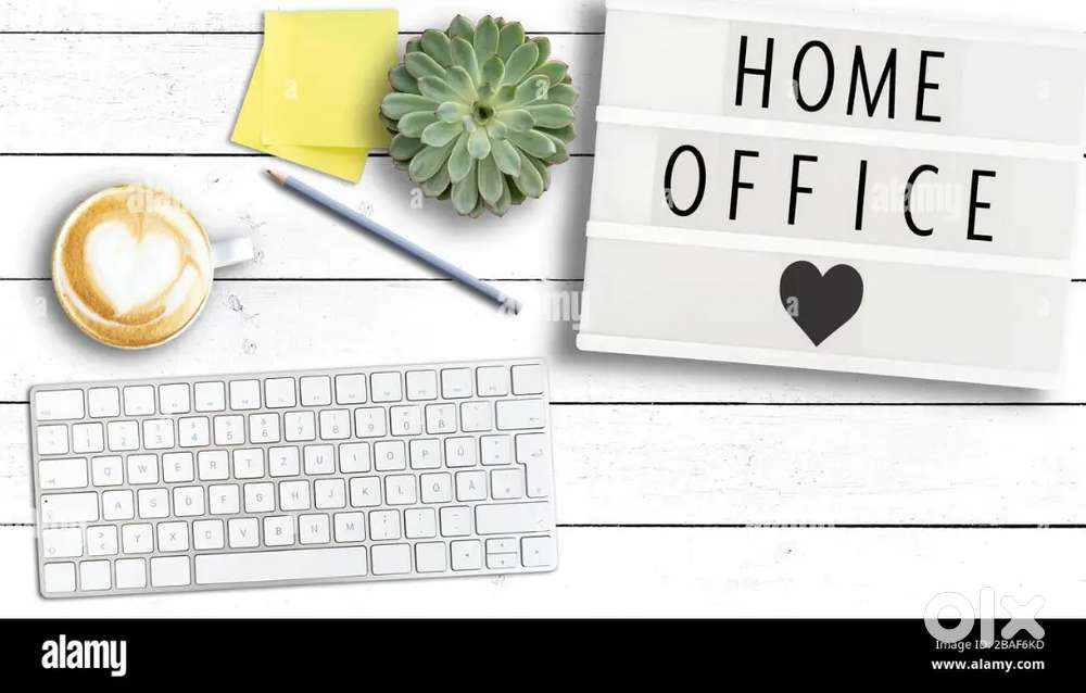 Data entry operator Documents verification
