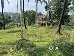 30 CENT HOUSE PLOT FOR SALE IN MANANTHAVADY