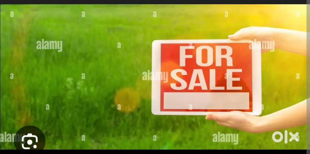 Hasaud Birra Road me jameen