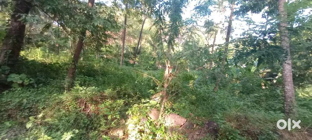 20 cent Residential plot for sale