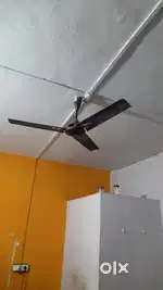 1 Hk flat for boys