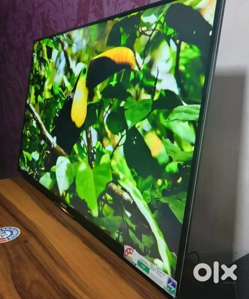 43 Google tv 3 years warranty cash on delivery