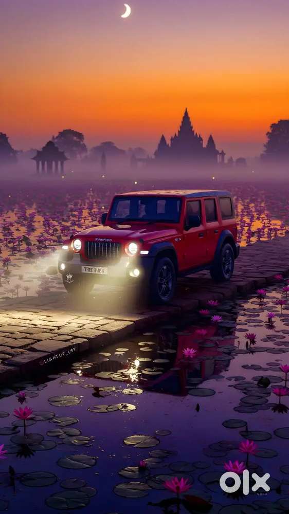 I need car driving job