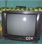 Telivision