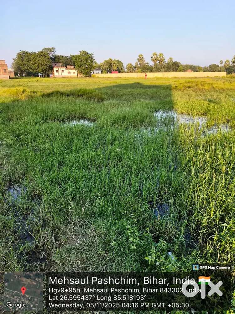 Sitamarhi bihar land for sale