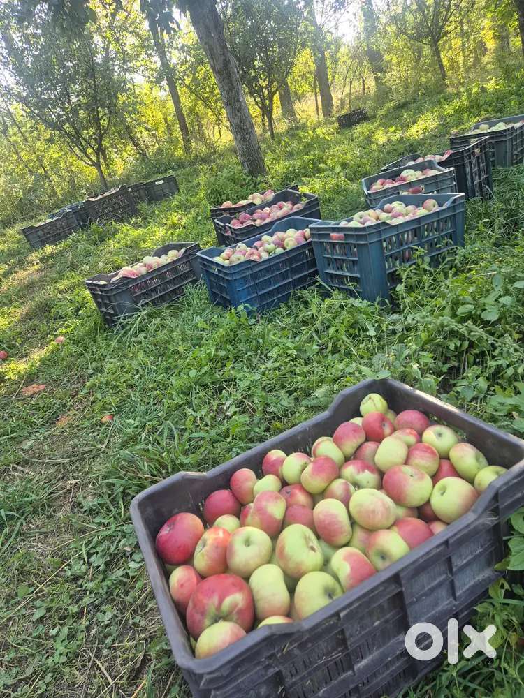 2 canal land milkayat