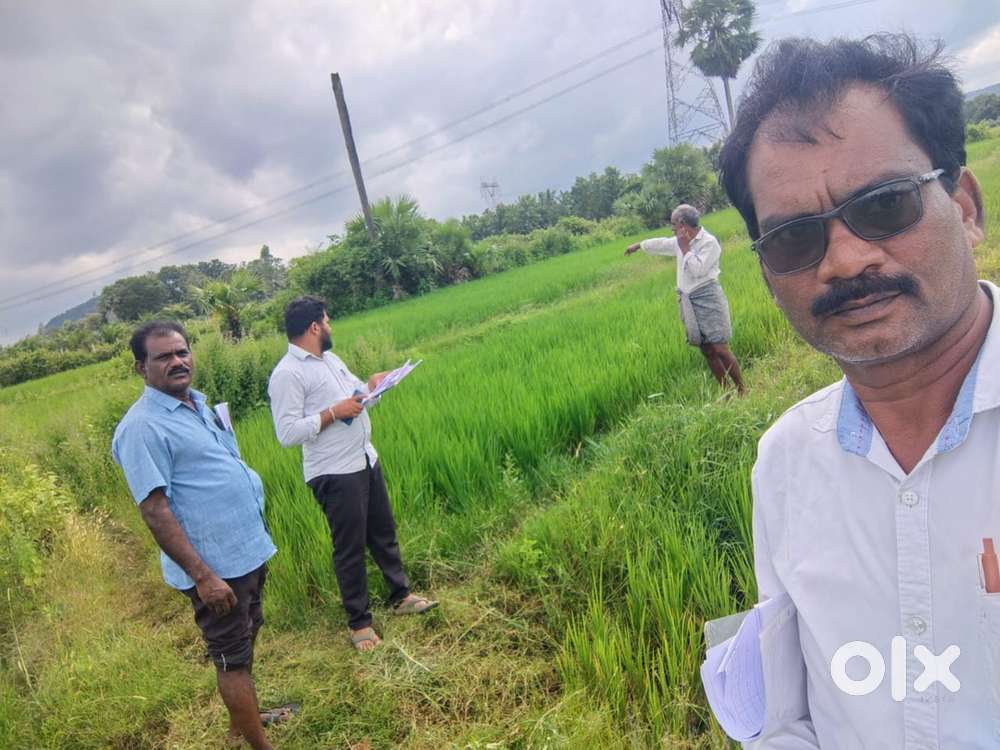 Agriculture land for sale in Gopalapuram, West Godavari