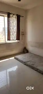 For bachelore female