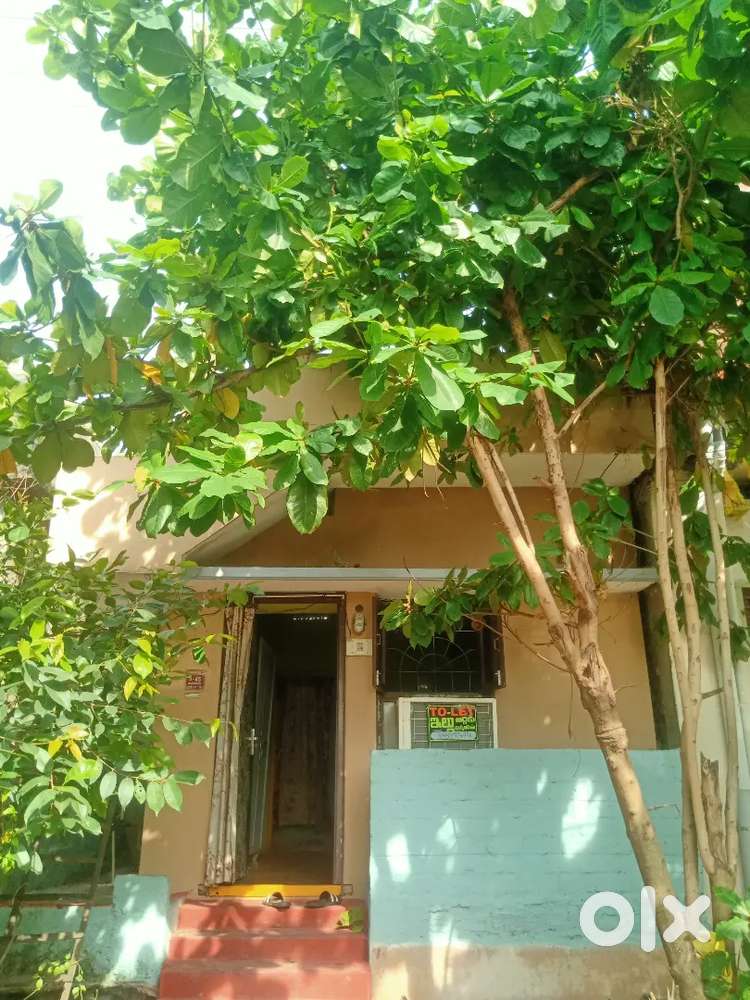 Individual house for rent 1 bhk