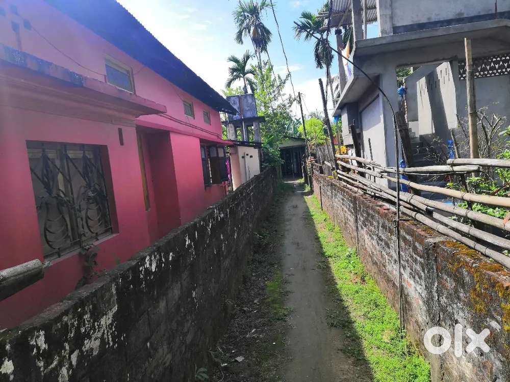 Usha nagar, bishn
