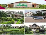 Green beauty farms