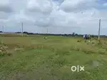 15,00,000 per guntha gharabari plot east and south facing
