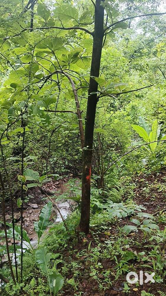 2 acres agriculture land available at poladpur