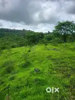 Bhukum Collector NA Sanction Plot Seal Only 7km from kotharud