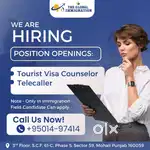 IMMIGRATION TELECALLER