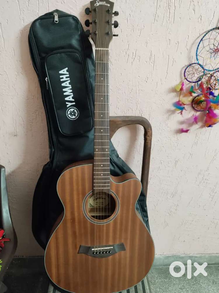 Acoustic Guitar