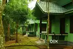2 acre plot with 6 cottages for lease/sale in Chundale, Wayanad