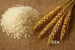 I am South Indian master