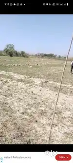 1acer6kanalagricul land for sale7km from nurpur bedi13km from anandpur