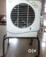 Symphony jumbo jr.cooler