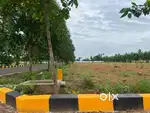 Bhogapuram near Sun Ray resat bisaid