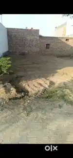 New Binder Colony No :2, Near Kid-Z School, Samana